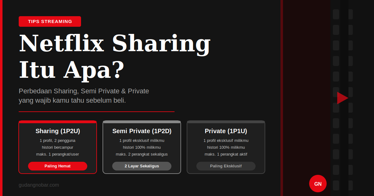 Netflix Sharing Itu Apa? Ini Perbedaan Sharing, Semi Private, dan Private yang Wajib Kamu Tahu