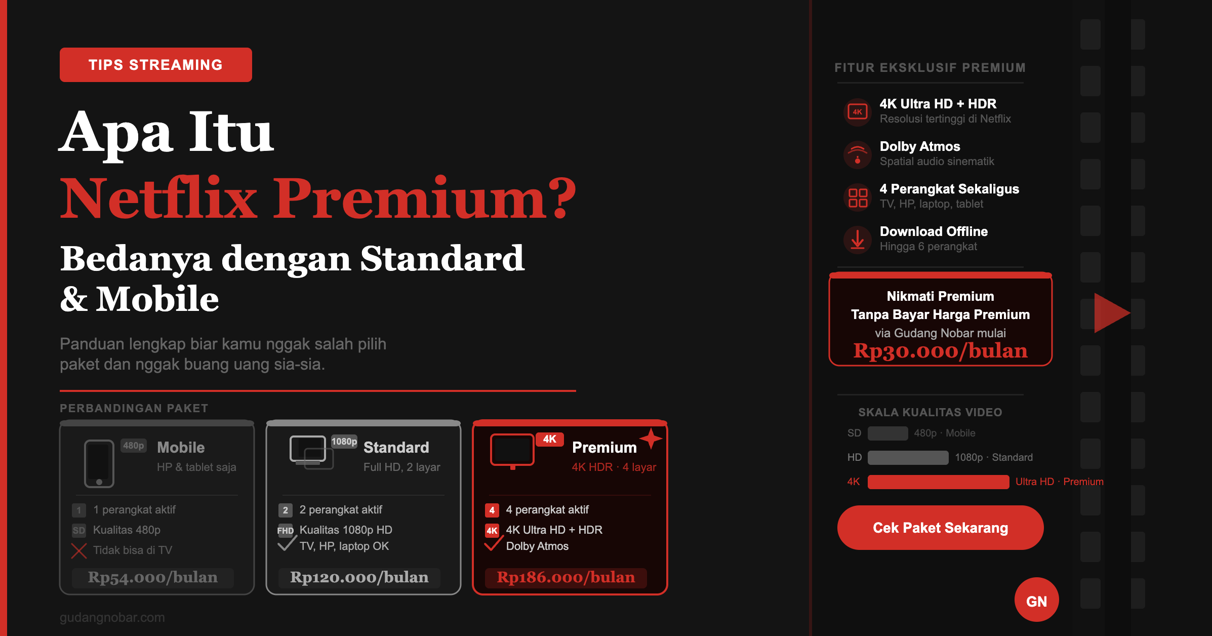Apa Itu Netflix Premium? Ini Bedanya dengan Paket Standard dan Mobile